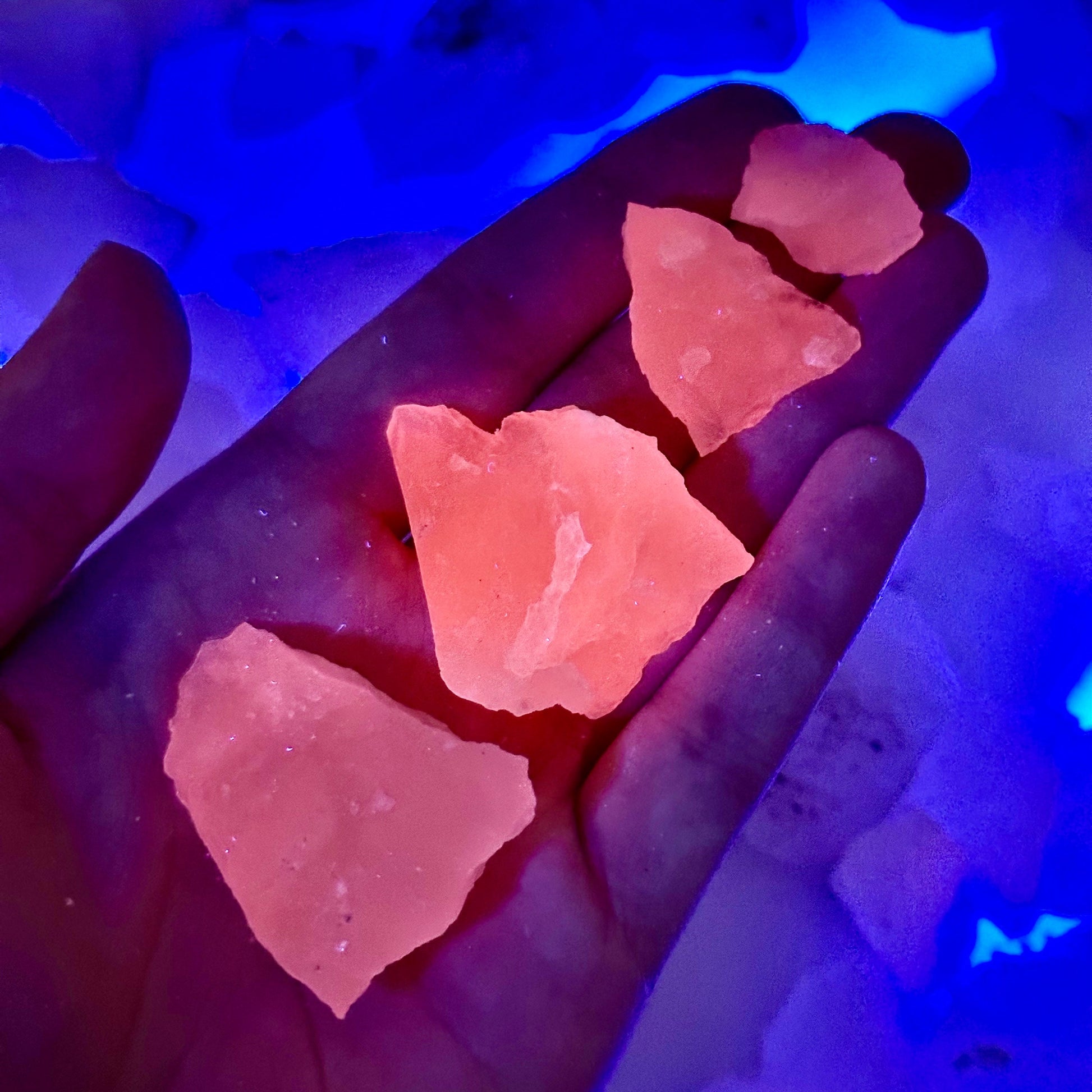 ONE UV-Reactive Mangano Calcite Specimen | raw mangano calcite, pink mangano calcite, fluorescent crystal, mineral specimen