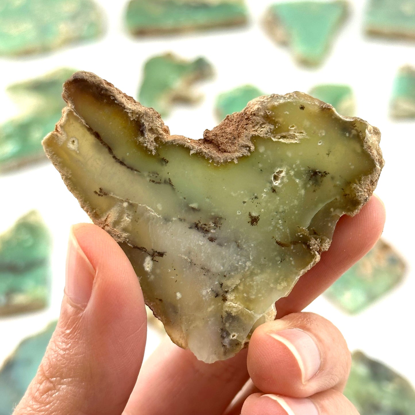 Mint Chrysoprase Slice (Indonesia) | polished green chrysoprase, chrysoprase slice, green chalcedony, mineral specimen