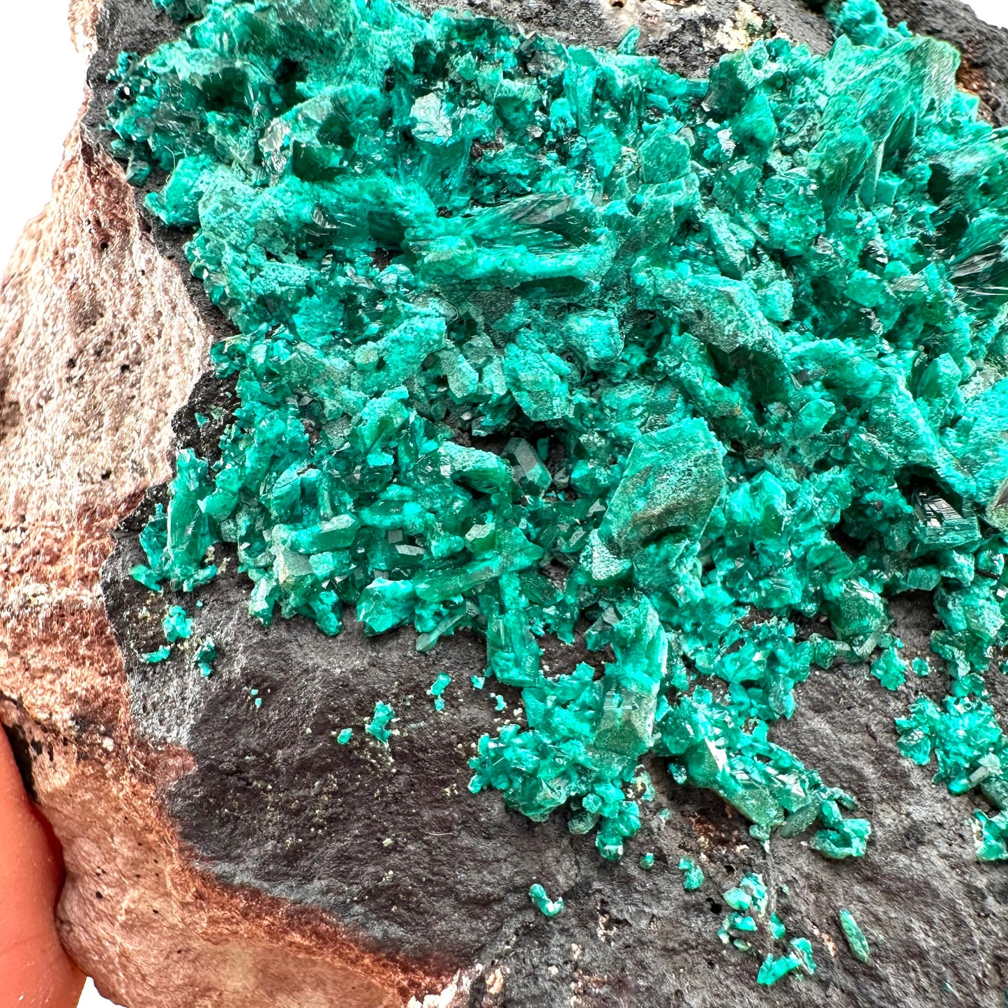 Dioptase Specimen (Namibia), raw dioptase, dioptase crystal, mineral specimen