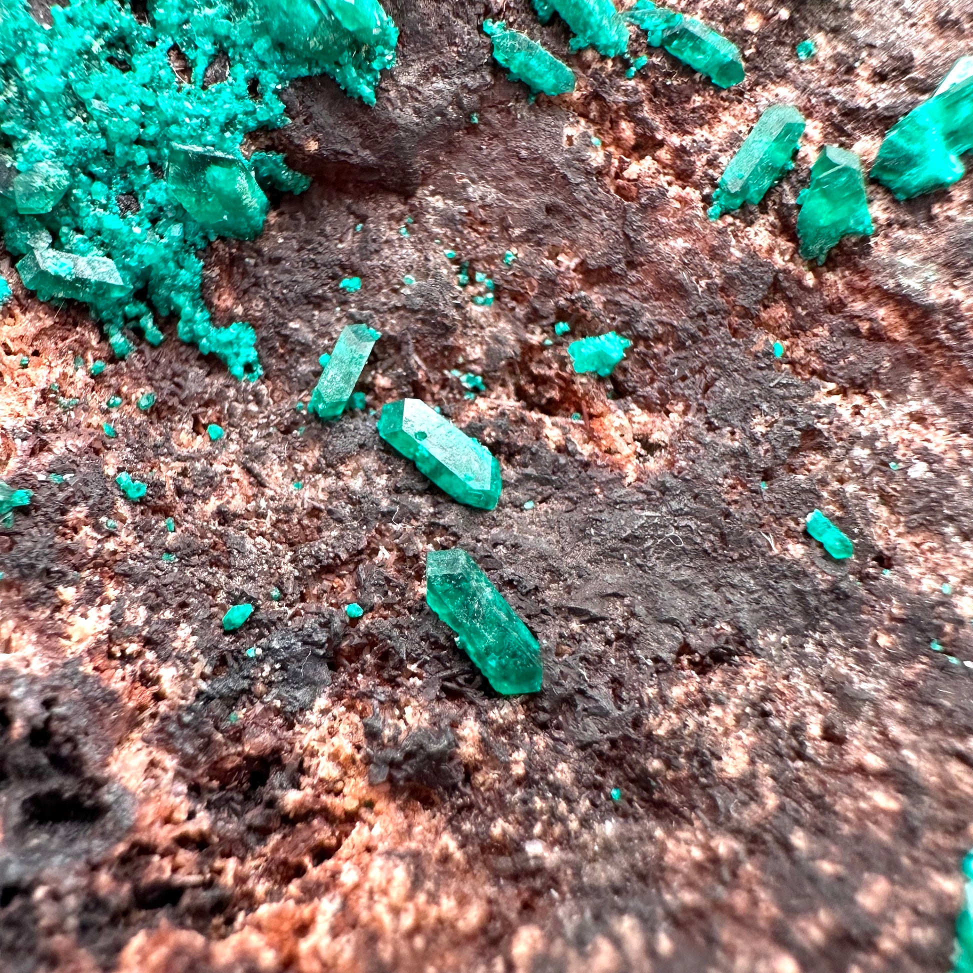 Dioptase Specimen (Namibia), raw dioptase, dioptase crystal, mineral specimen