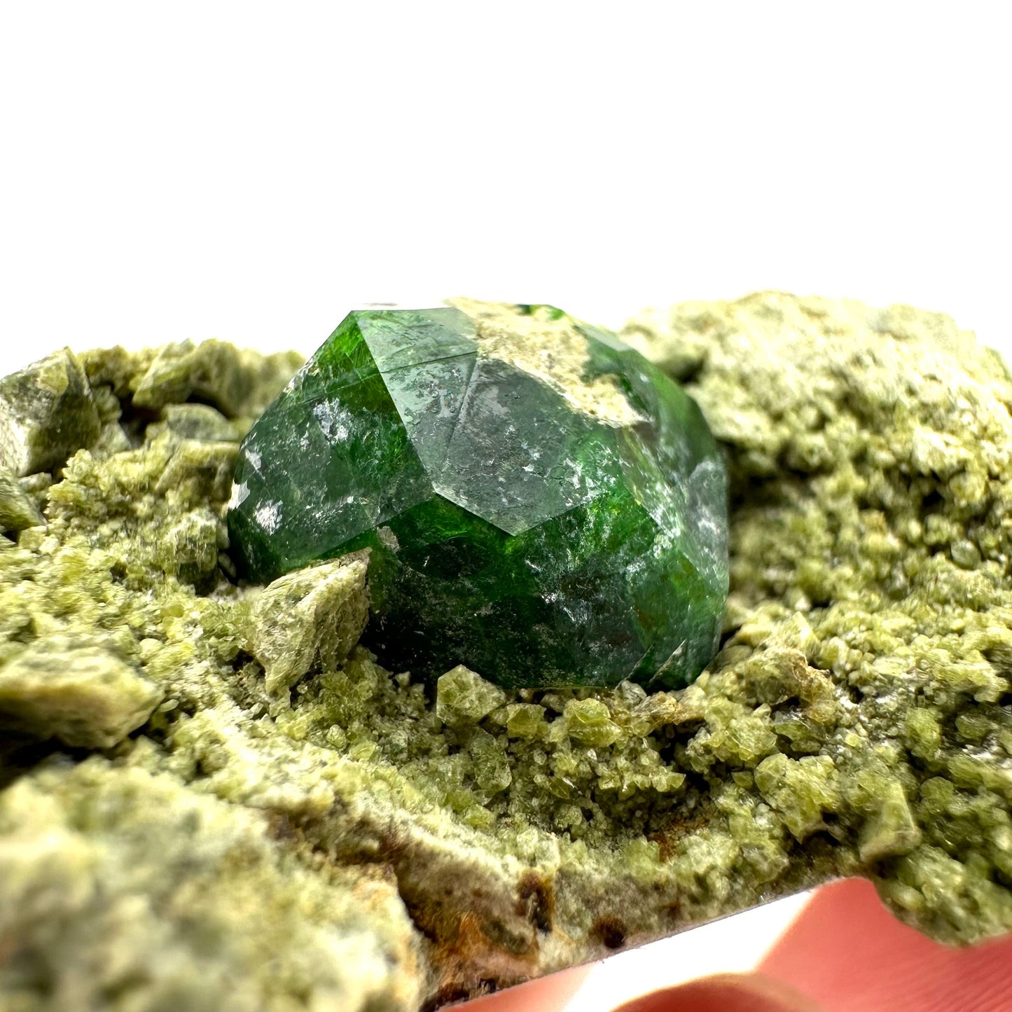 Demantoid Garnet & Diopside on Matrix (BeIqeys Mountain) | green garnet, rare minerals, demantoid garnet crystal, mineral specimen