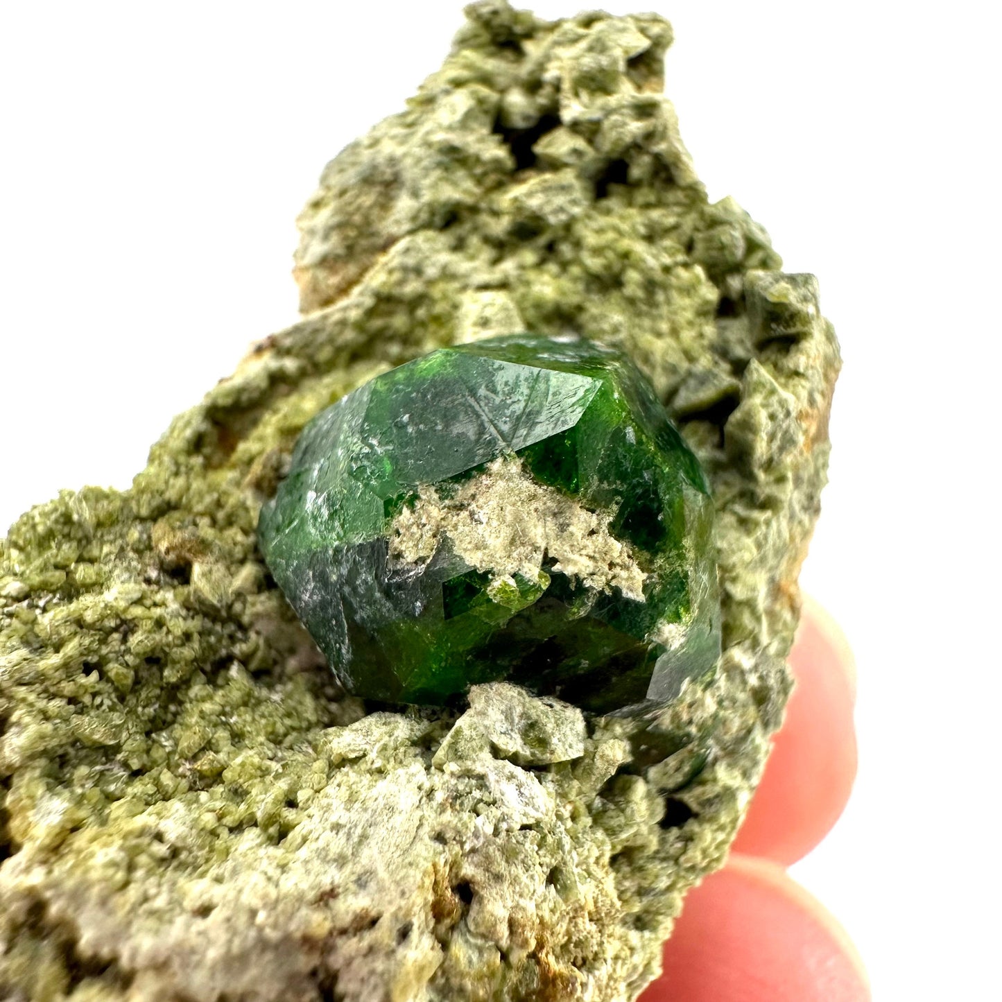 Demantoid Garnet & Diopside on Matrix (BeIqeys Mountain) | green garnet, rare minerals, demantoid garnet crystal, mineral specimen