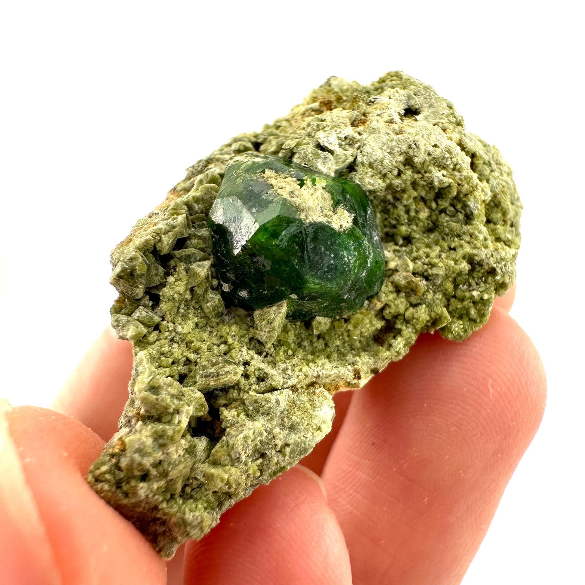 Demantoid Garnet & Diopside on Matrix (BeIqeys Mountain) | green garnet, rare minerals, demantoid garnet crystal, mineral specimen