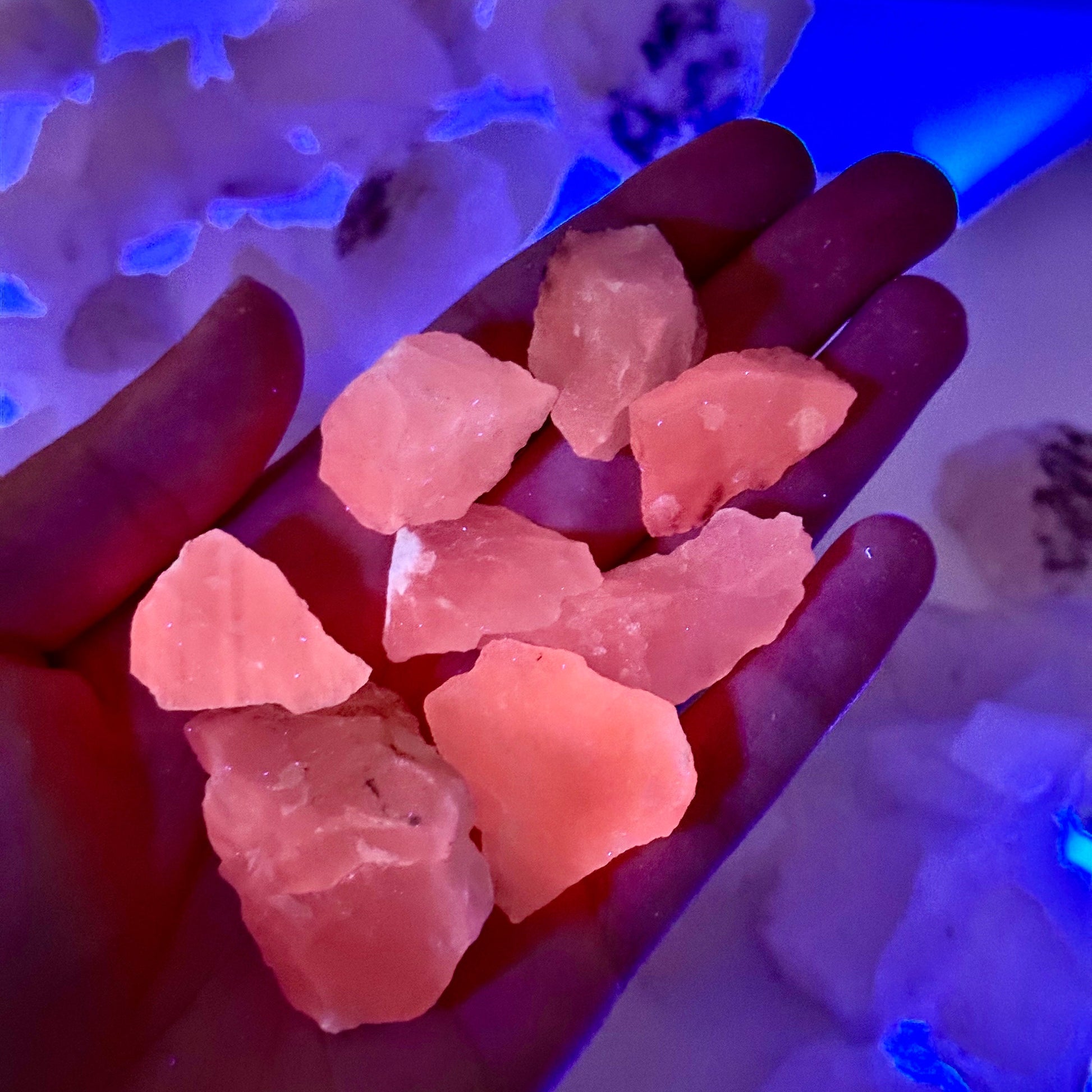ONE UV-Reactive Mangano Calcite Specimen | raw mangano calcite, pink mangano calcite, fluorescent crystal, mineral specimen