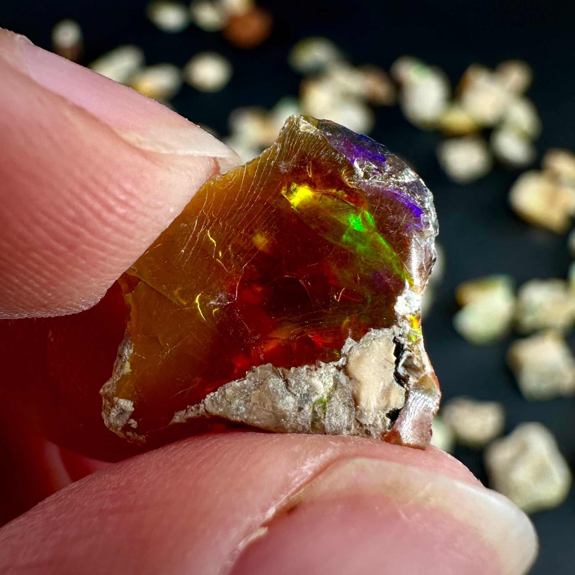 Natural Opals (per gram) | Ethiopian Opal, natural opal, rough opals, welo opal, raw opal