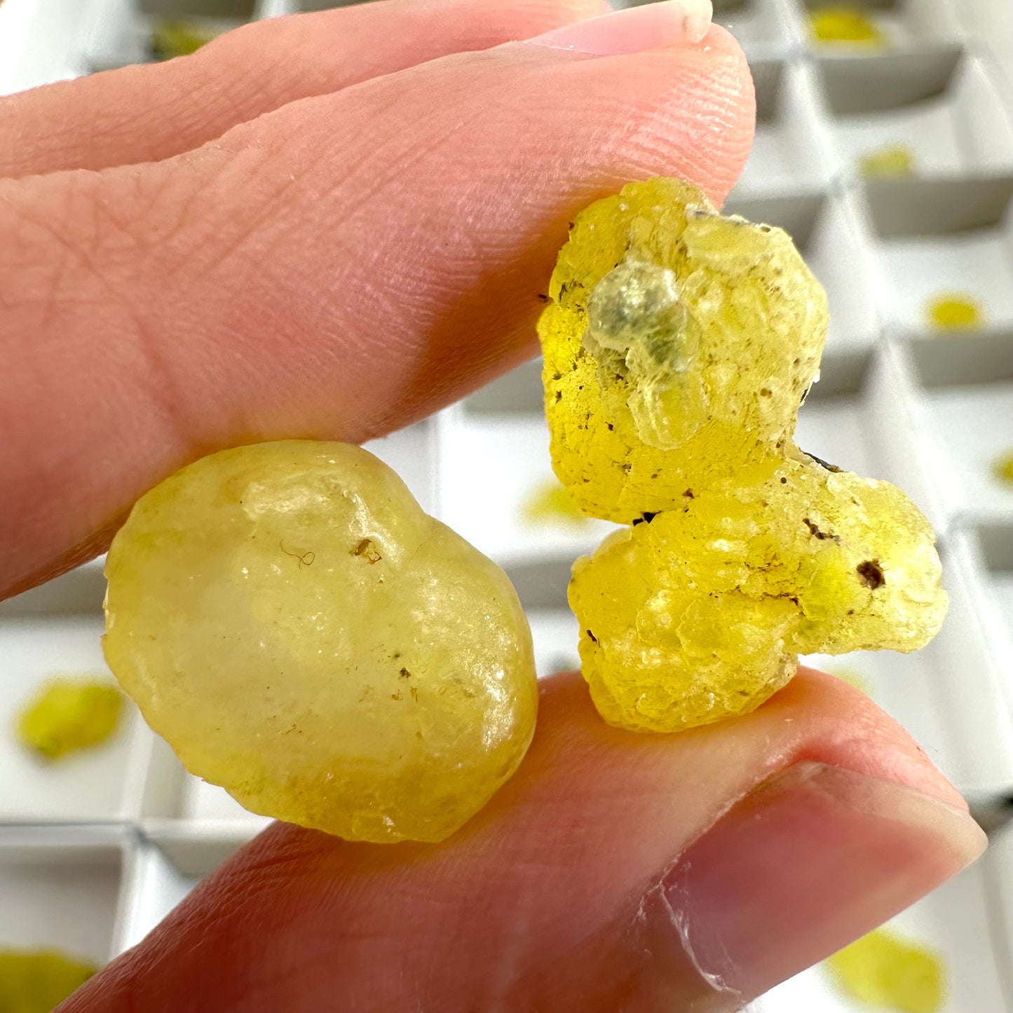 35pcs Yellow Brucite Wholesale | yellow brucite specimen, raw brucite, yellow brucite crystal, wholesale crystals, bulk crystals
