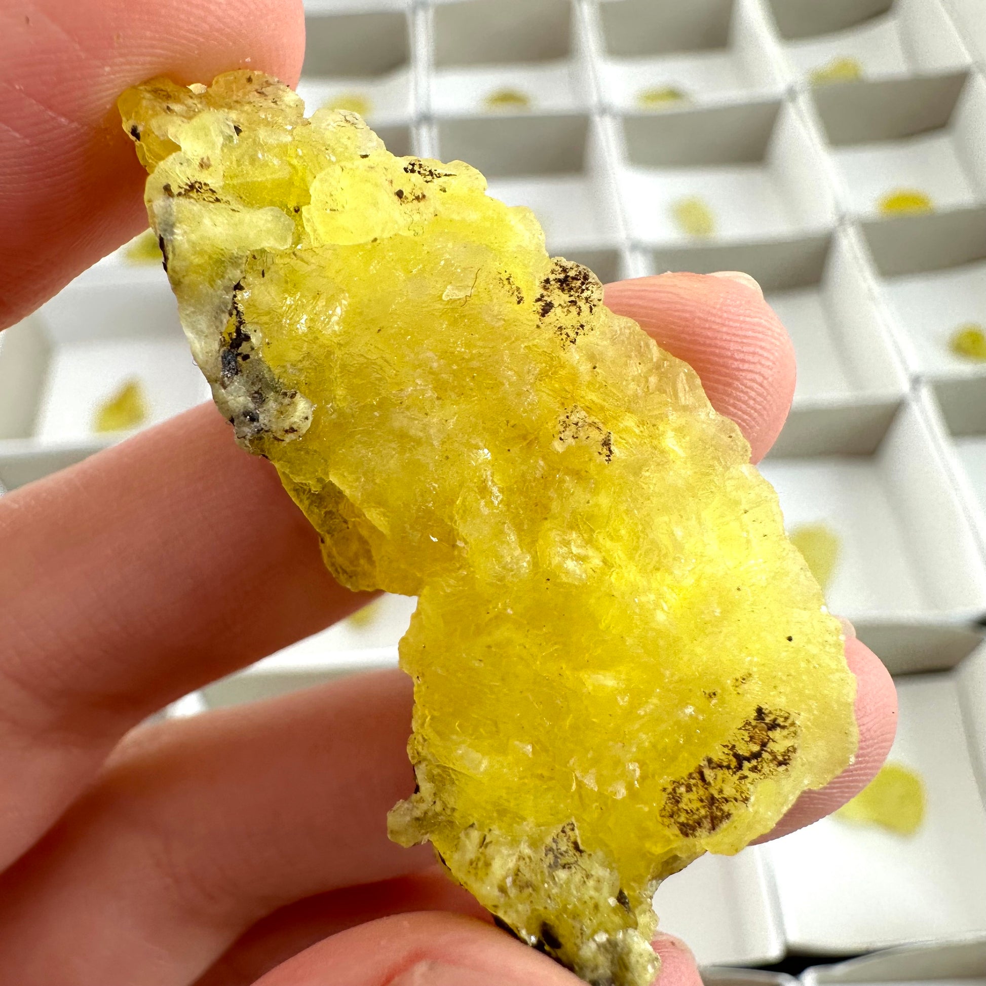 35pcs Yellow Brucite Wholesale | yellow brucite specimen, raw brucite, yellow brucite crystal, wholesale crystals, bulk crystals