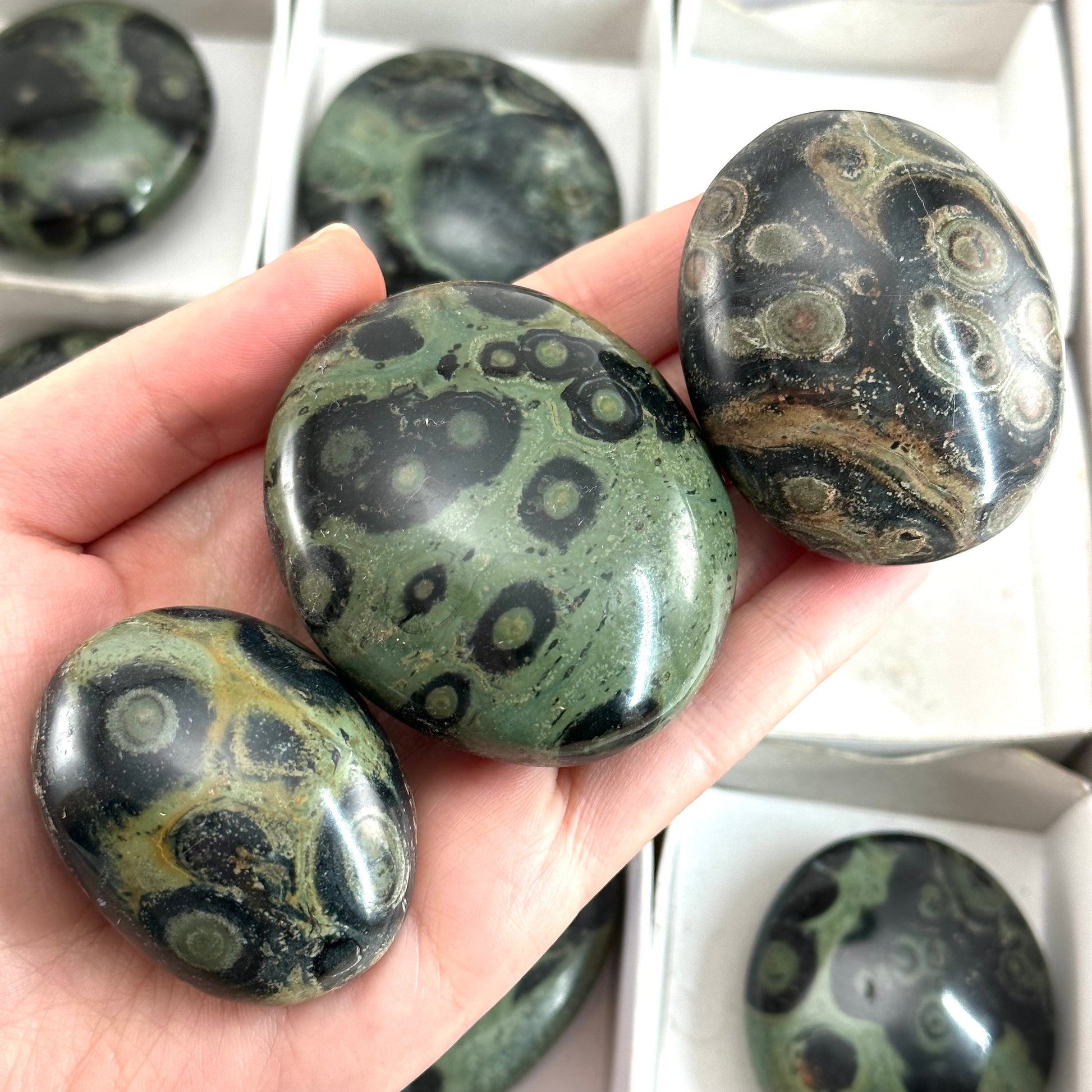 14pcs Wholesale Kambaba Jasper Palm Stones, Kambaba jasper, palm stone, worry stone, wholesale crystals, wholesale palm stones