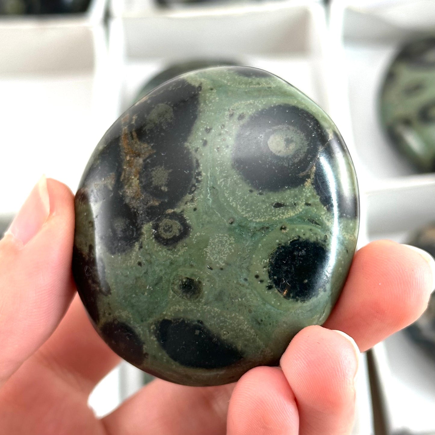 14pcs Wholesale Kambaba Jasper Palm Stones, Kambaba jasper, palm stone, worry stone, wholesale crystals, wholesale palm stones