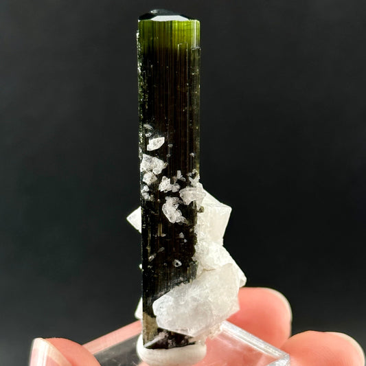 Green Cap Tourmaline with Albite (Pakistan) | raw tourmaline, green tourmaline, tourmaline crystal, rare minerals, rare crystals