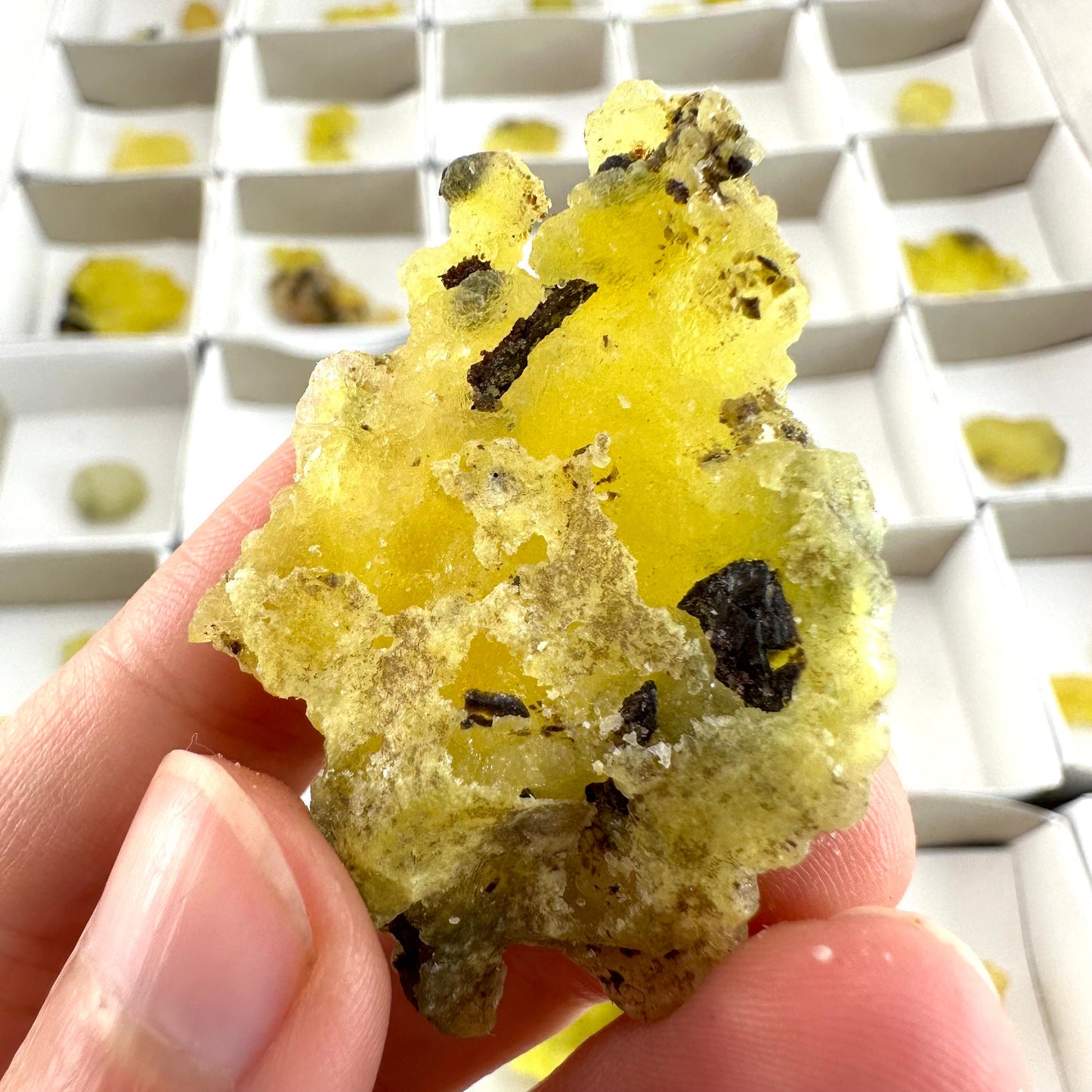 47pcs Yellow Brucite Wholesale | yellow brucite specimen, raw brucite, yellow brucite crystal, wholesale crystals, bulk crystals