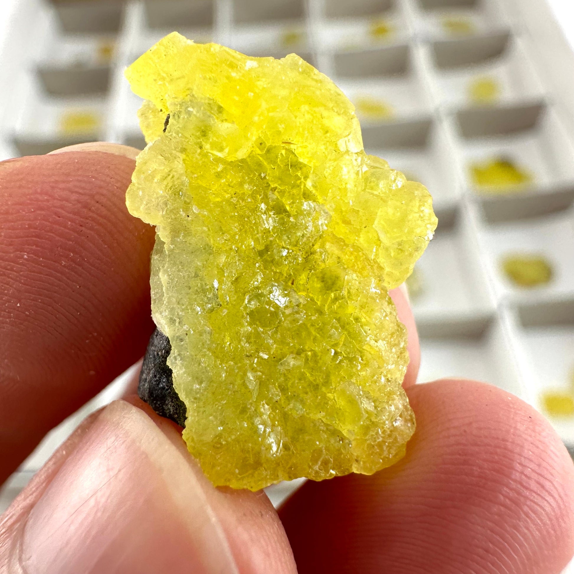 47pcs Yellow Brucite Wholesale | yellow brucite specimen, raw brucite, yellow brucite crystal, wholesale crystals, bulk crystals