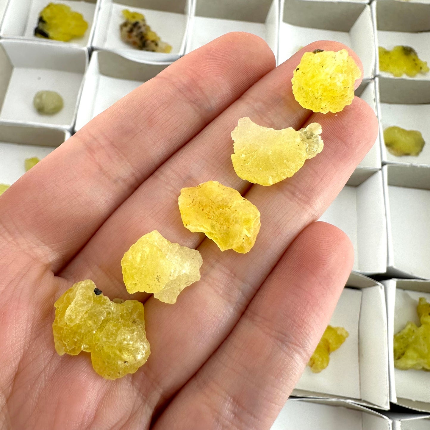 47pcs Yellow Brucite Wholesale | yellow brucite specimen, raw brucite, yellow brucite crystal, wholesale crystals, bulk crystals