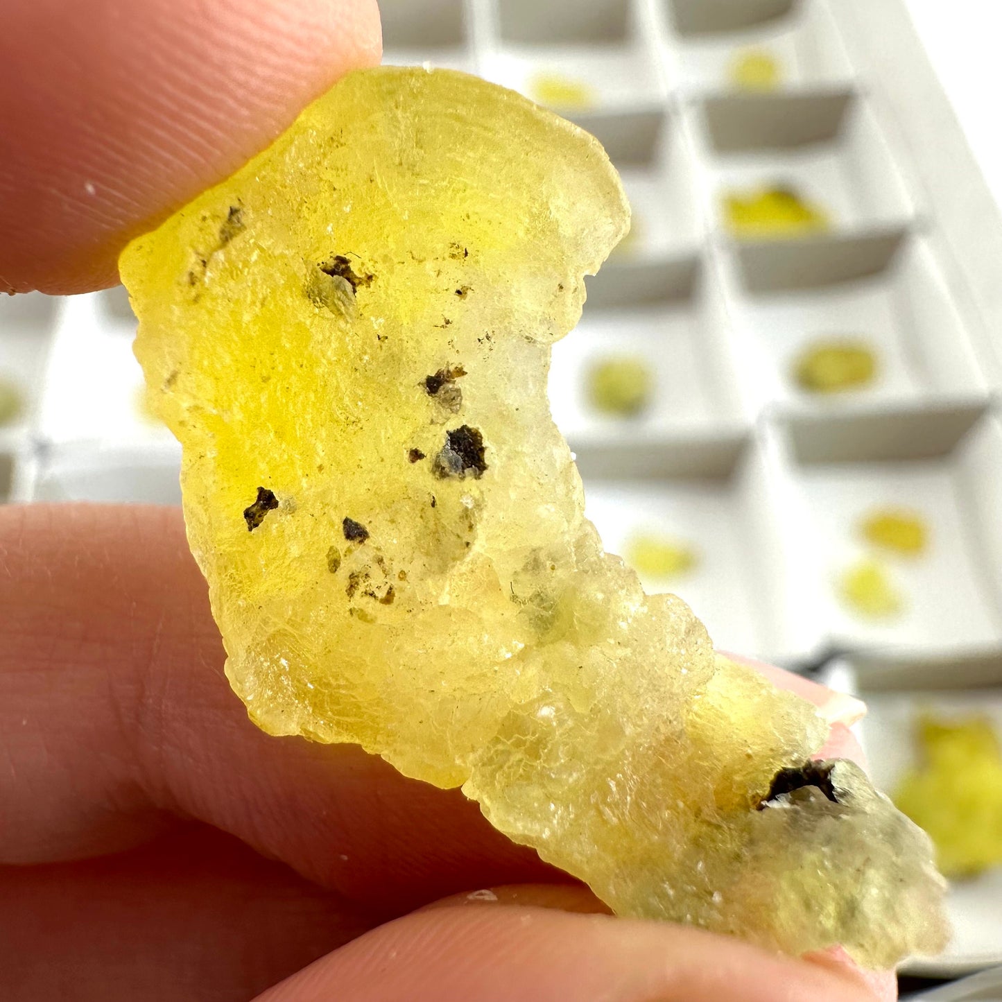 47pcs Yellow Brucite Wholesale | yellow brucite specimen, raw brucite, yellow brucite crystal, wholesale crystals, bulk crystals