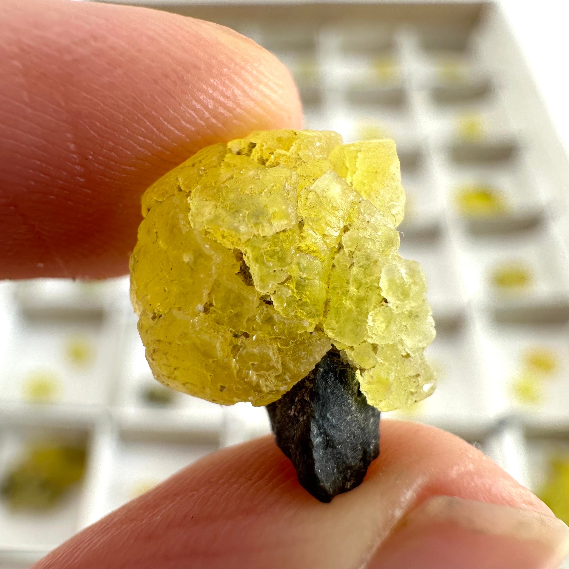 47pcs Yellow Brucite Wholesale | yellow brucite specimen, raw brucite, yellow brucite crystal, wholesale crystals, bulk crystals