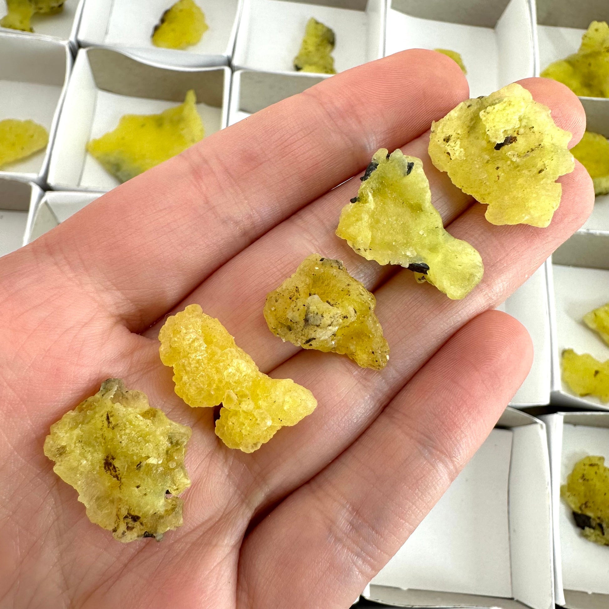 47pcs Yellow Brucite Wholesale | yellow brucite specimen, raw brucite, yellow brucite crystal, wholesale crystals, bulk crystals