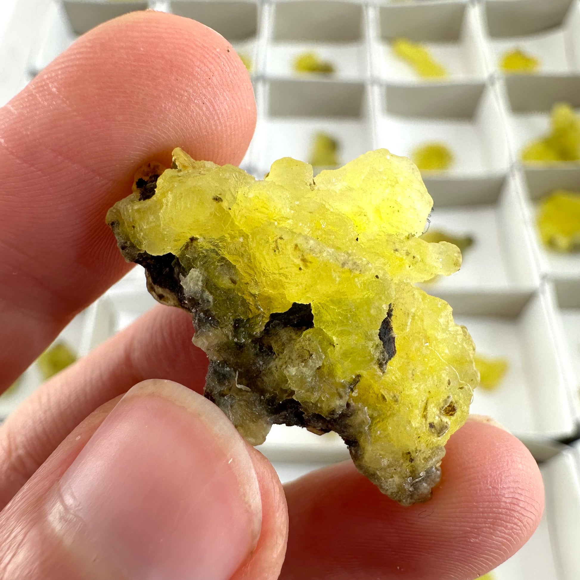 47pcs Yellow Brucite Wholesale | yellow brucite specimen, raw brucite, yellow brucite crystal, wholesale crystals, bulk crystals