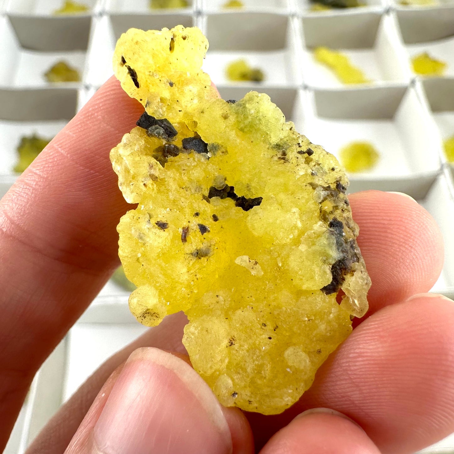 47pcs Yellow Brucite Wholesale | yellow brucite specimen, raw brucite, yellow brucite crystal, wholesale crystals, bulk crystals