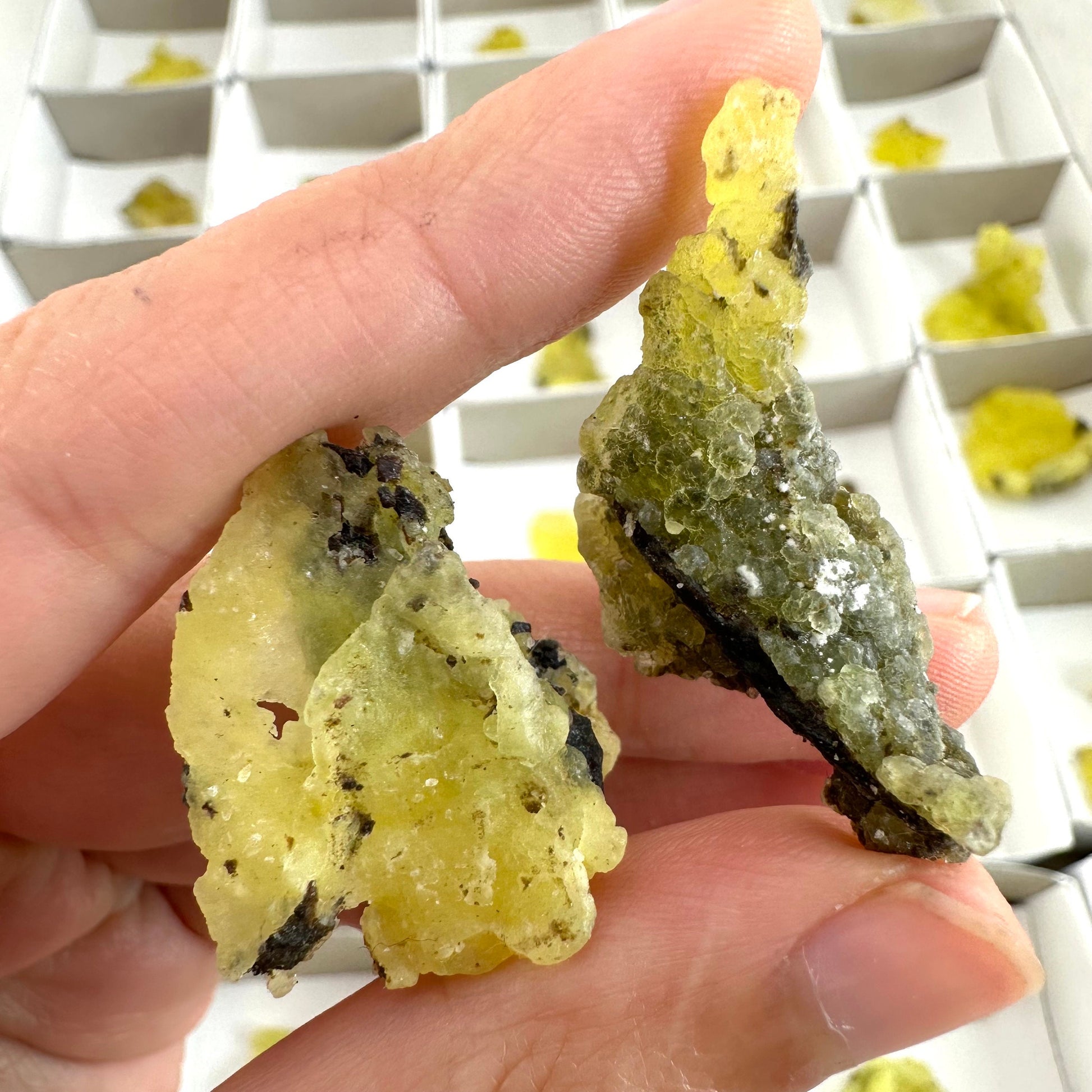 47pcs Yellow Brucite Wholesale | yellow brucite specimen, raw brucite, yellow brucite crystal, wholesale crystals, bulk crystals