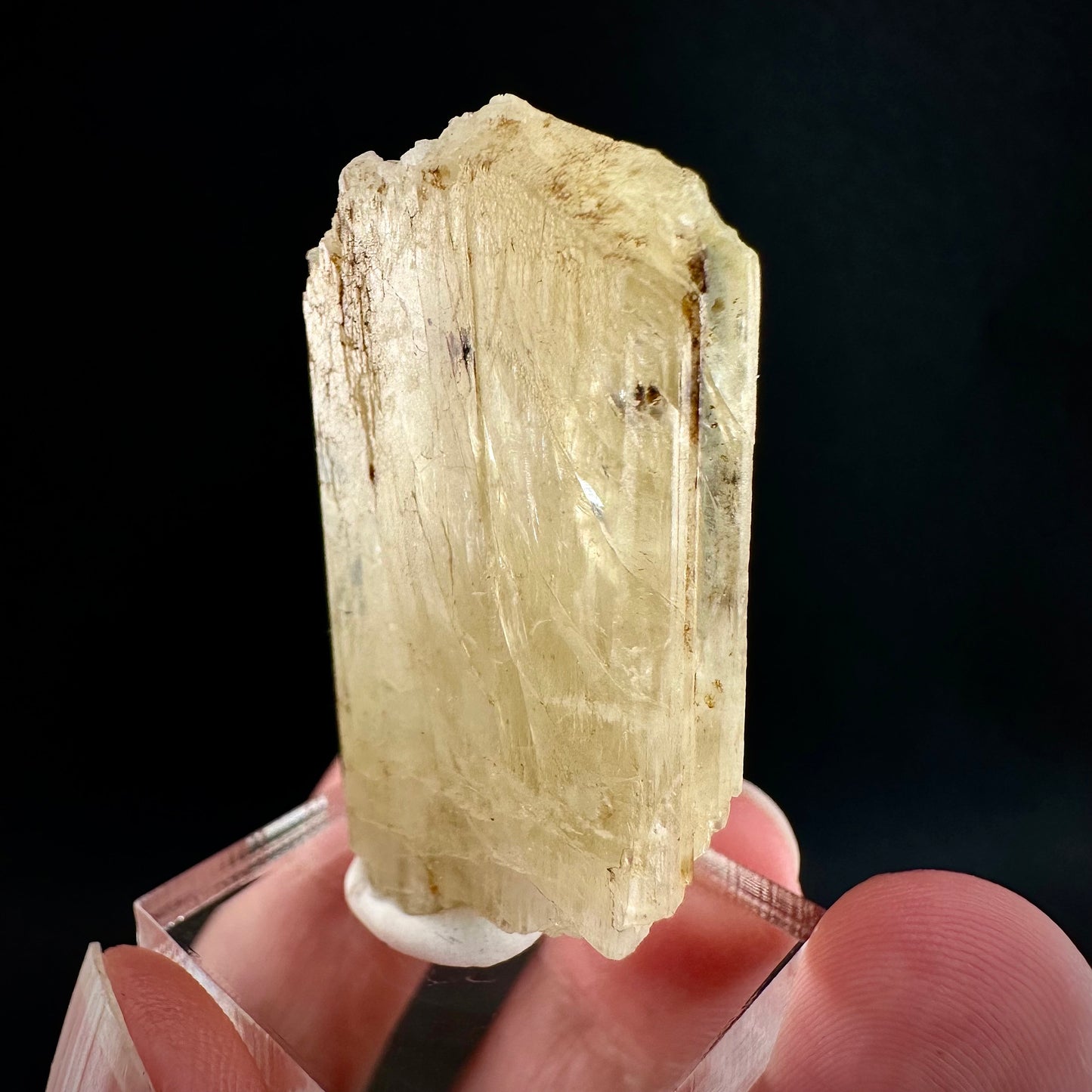 Rare! Spessartine Garnet on Kunzite (Pakistan) | orange garnet on kunzite, kunzite crystal, kunzite specimen, rare crystals, rare minerals