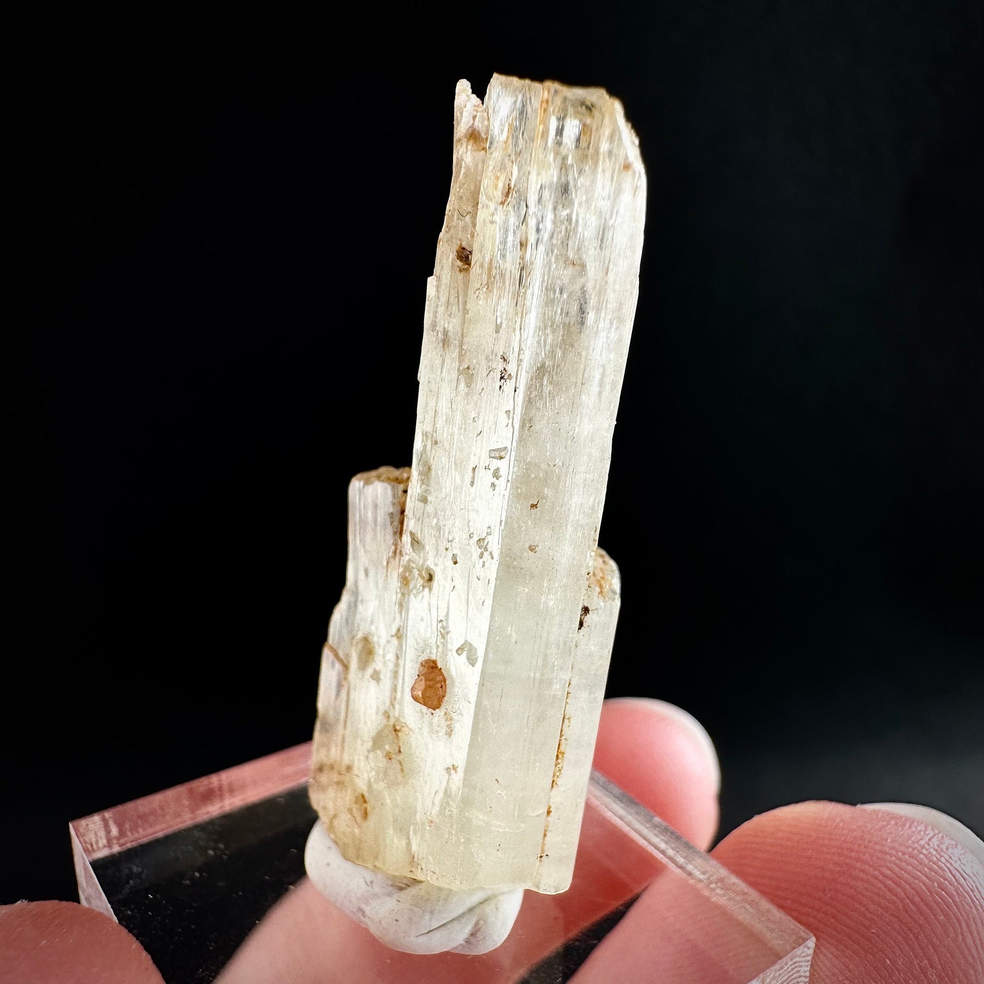 Rare! Spessartine Garnet on Kunzite (Pakistan) | orange garnet on kunzite, kunzite crystal, kunzite specimen, rare crystals, rare minerals