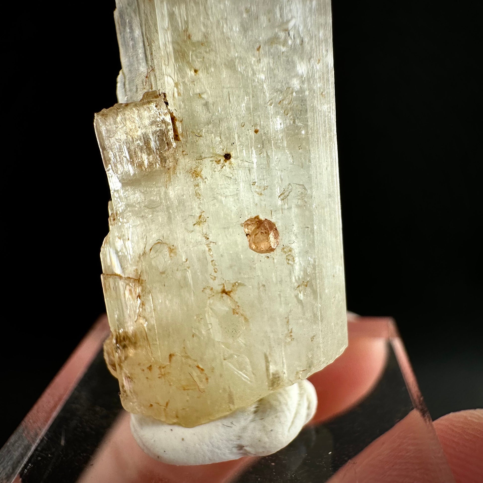 Rare! Spessartine Garnet on Kunzite (Pakistan) | orange garnet on kunzite, kunzite crystal, kunzite specimen, rare crystals, rare minerals