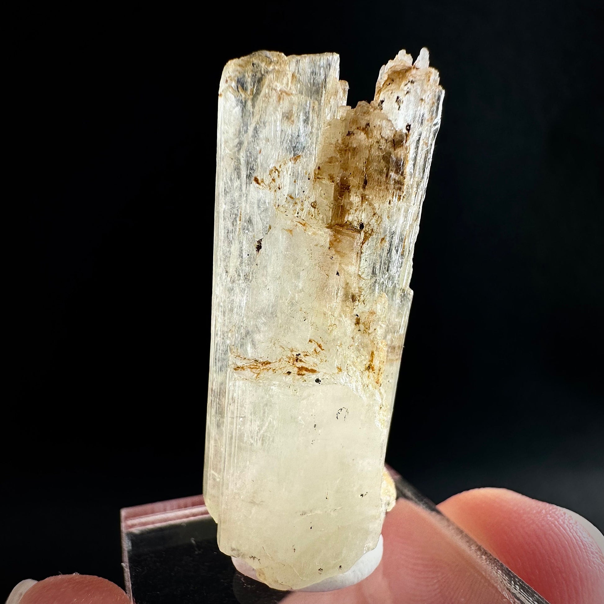 Rare! Spessartine Garnet on Kunzite (Pakistan) | orange garnet on kunzite, kunzite crystal, kunzite specimen, rare crystals, rare minerals
