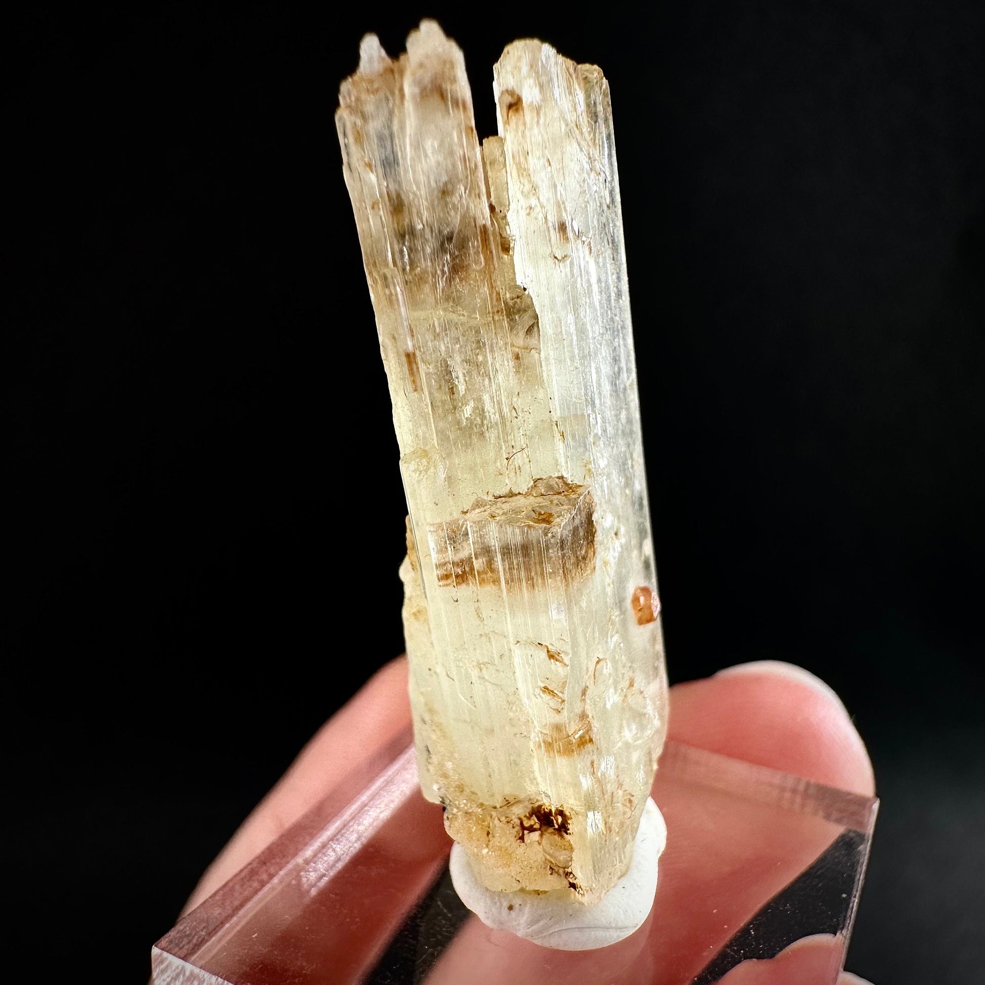 Rare! Spessartine Garnet on Kunzite (Pakistan) | orange garnet on kunzite, kunzite crystal, kunzite specimen, rare crystals, rare minerals