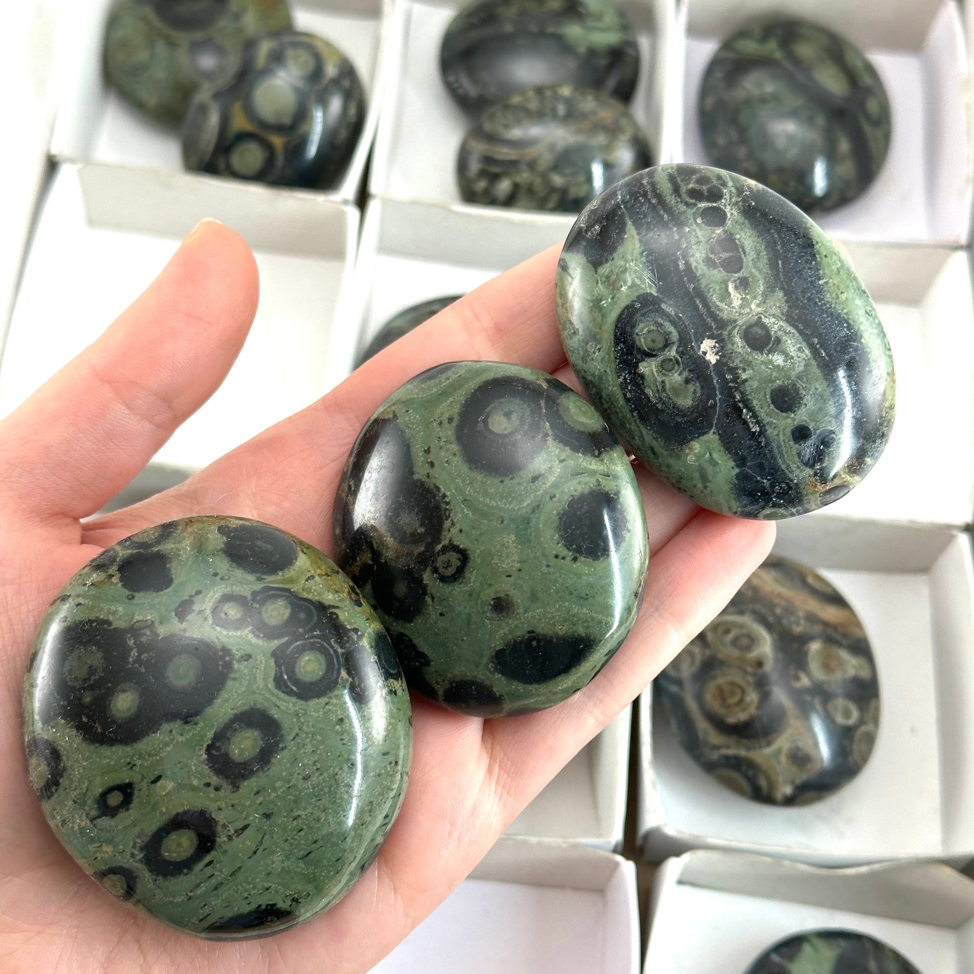 14pcs Wholesale Kambaba Jasper Palm Stones, Kambaba jasper, palm stone, worry stone, wholesale crystals, wholesale palm stones