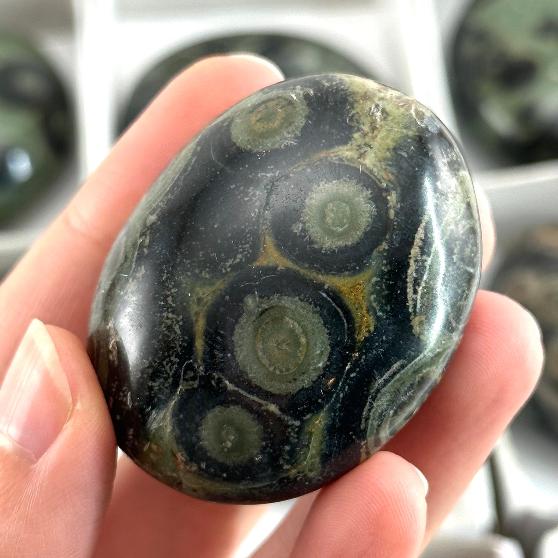 14pcs Wholesale Kambaba Jasper Palm Stones, Kambaba jasper, palm stone, worry stone, wholesale crystals, wholesale palm stones