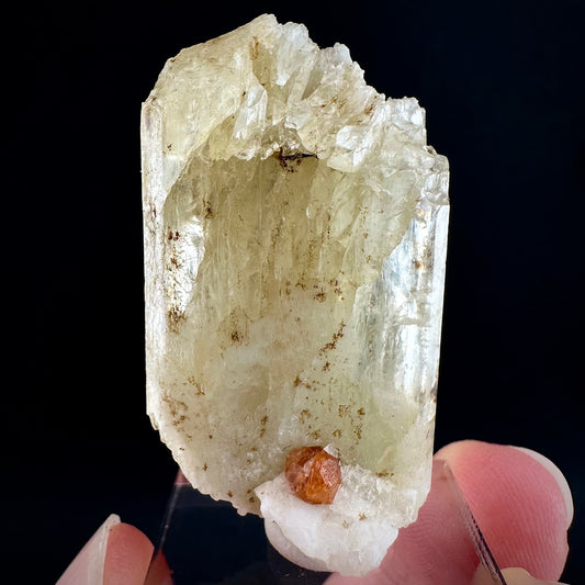 Rare! Spessartine Garnet on Kunzite (Pakistan) | orange garnet on kunzite, kunzite crystal, kunzite specimen, rare crystals, rare minerals