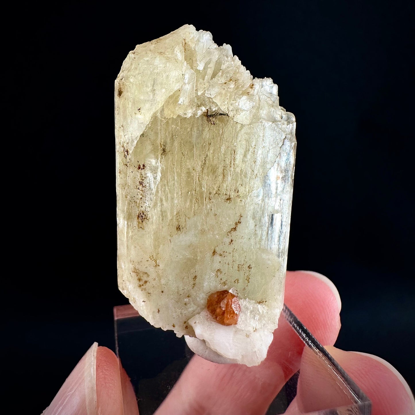 Rare! Spessartine Garnet on Kunzite (Pakistan) | orange garnet on kunzite, kunzite crystal, kunzite specimen, rare crystals, rare minerals
