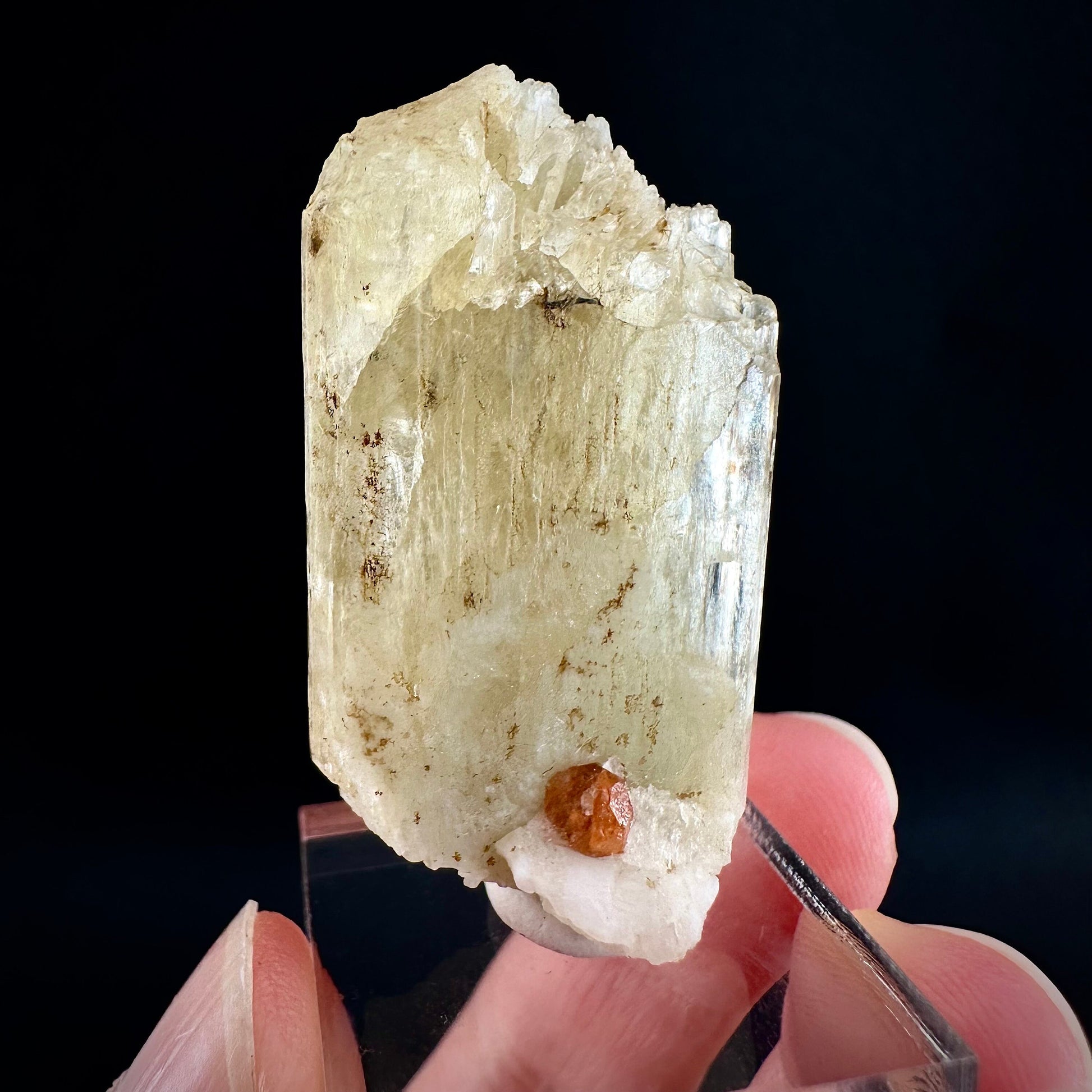 Rare! Spessartine Garnet on Kunzite (Pakistan) | orange garnet on kunzite, kunzite crystal, kunzite specimen, rare crystals, rare minerals
