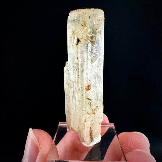 Rare! Spessartine Garnet on Kunzite (Pakistan) | orange garnet on kunzite, kunzite crystal, kunzite specimen, rare crystals, rare minerals