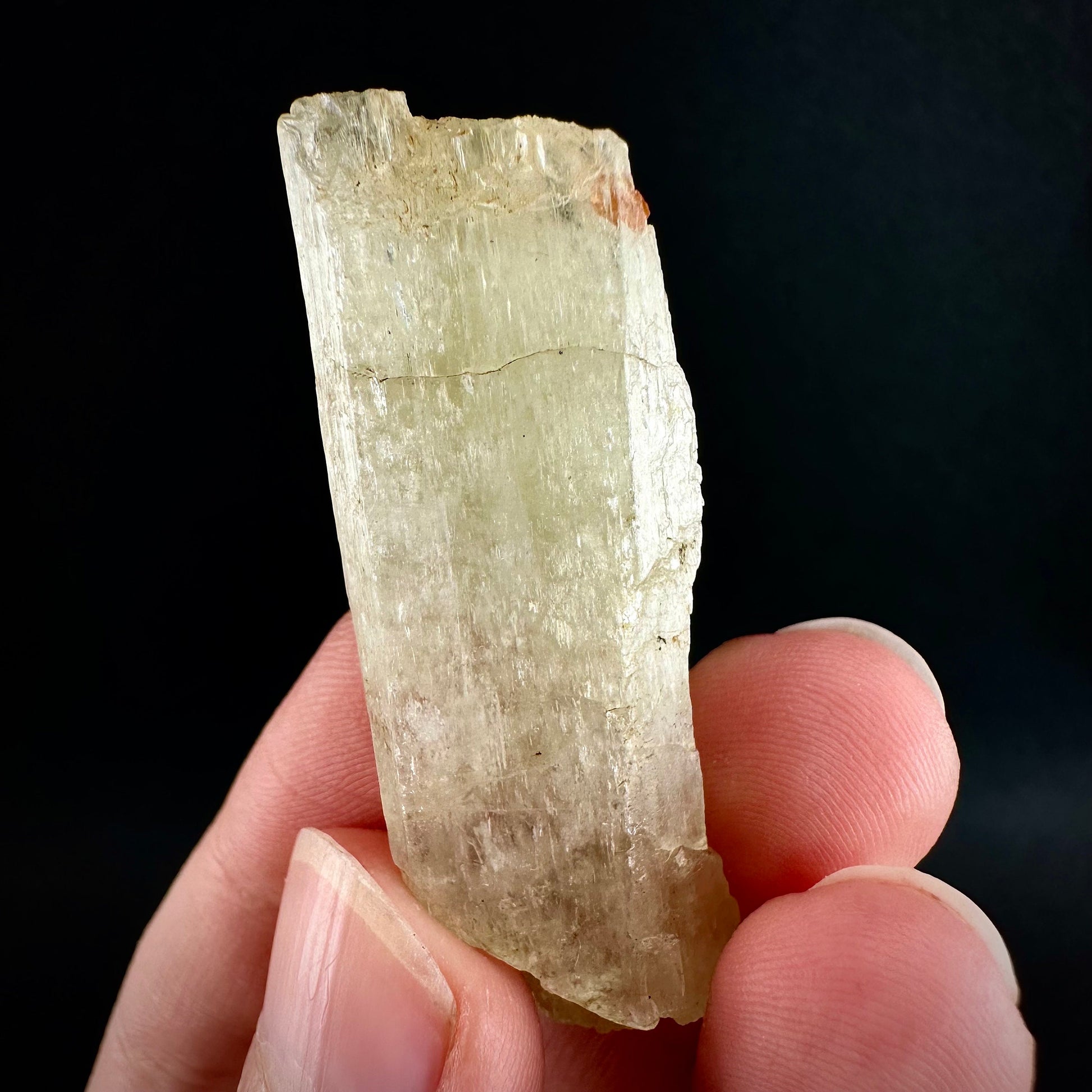 Rare! Spessartine Garnet on Kunzite (Pakistan) | orange garnet on kunzite, kunzite crystal, kunzite specimen, rare crystals, rare minerals