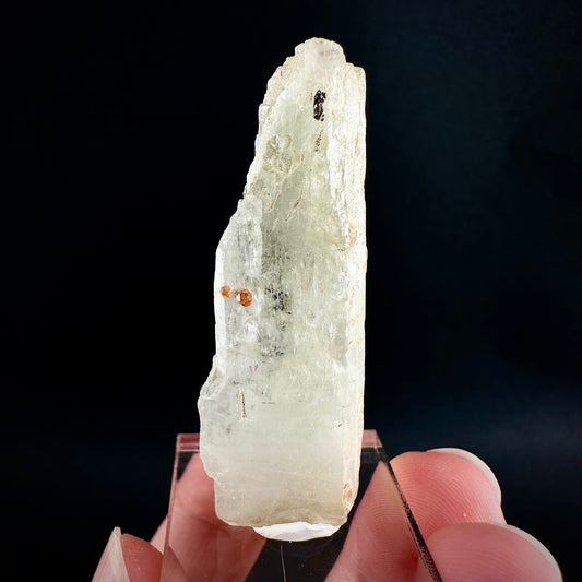 Rare! Spessartine Garnet on Kunzite (Pakistan) | orange garnet on kunzite, kunzite crystal, kunzite specimen, rare crystals, rare minerals