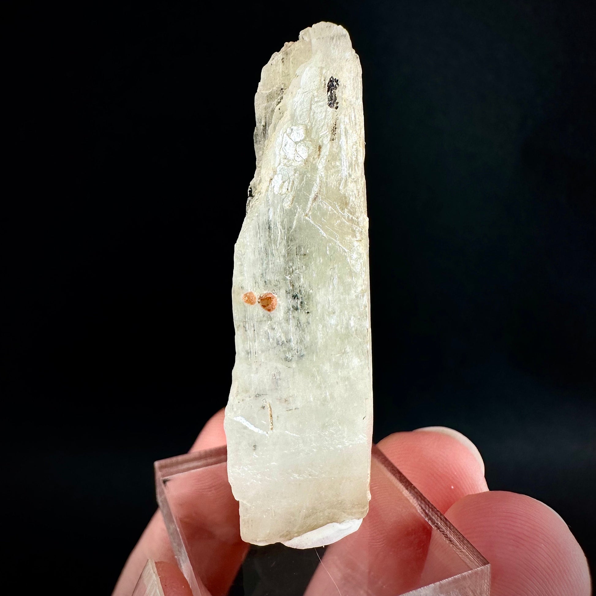 Rare! Spessartine Garnet on Kunzite (Pakistan) | orange garnet on kunzite, kunzite crystal, kunzite specimen, rare crystals, rare minerals