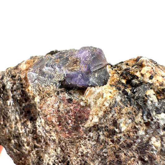 Sapphire on Matrix (Madagascar) | natural blue sapphire, purple sapphire, corundum var. sapphire, mineral specimen, rare crystals