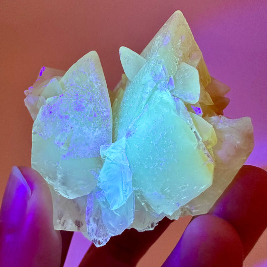 Fluorescent & Phosphorescent Calcite (Indonesia) | UV-reactive calcite, yellow calcite, calcite crystal, UV reactive crystal, crystals