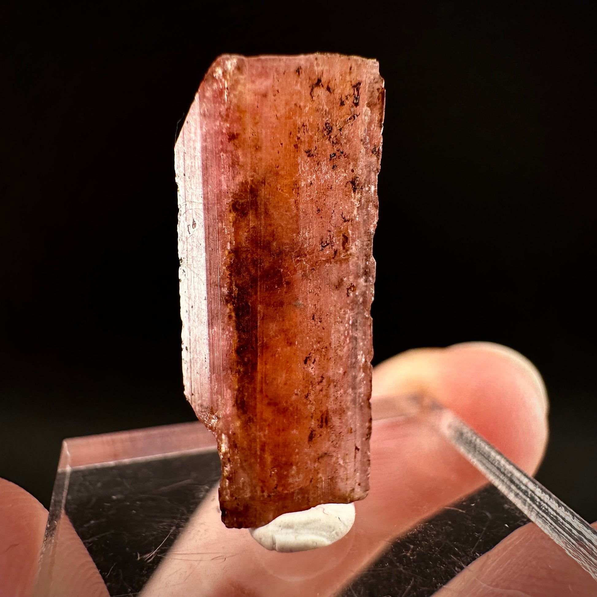 Rare! Vayrynenite (Pakistan) | vayrynenite crystal, rare crystals, mineral specimen, rare minerals, natural vayrynenite