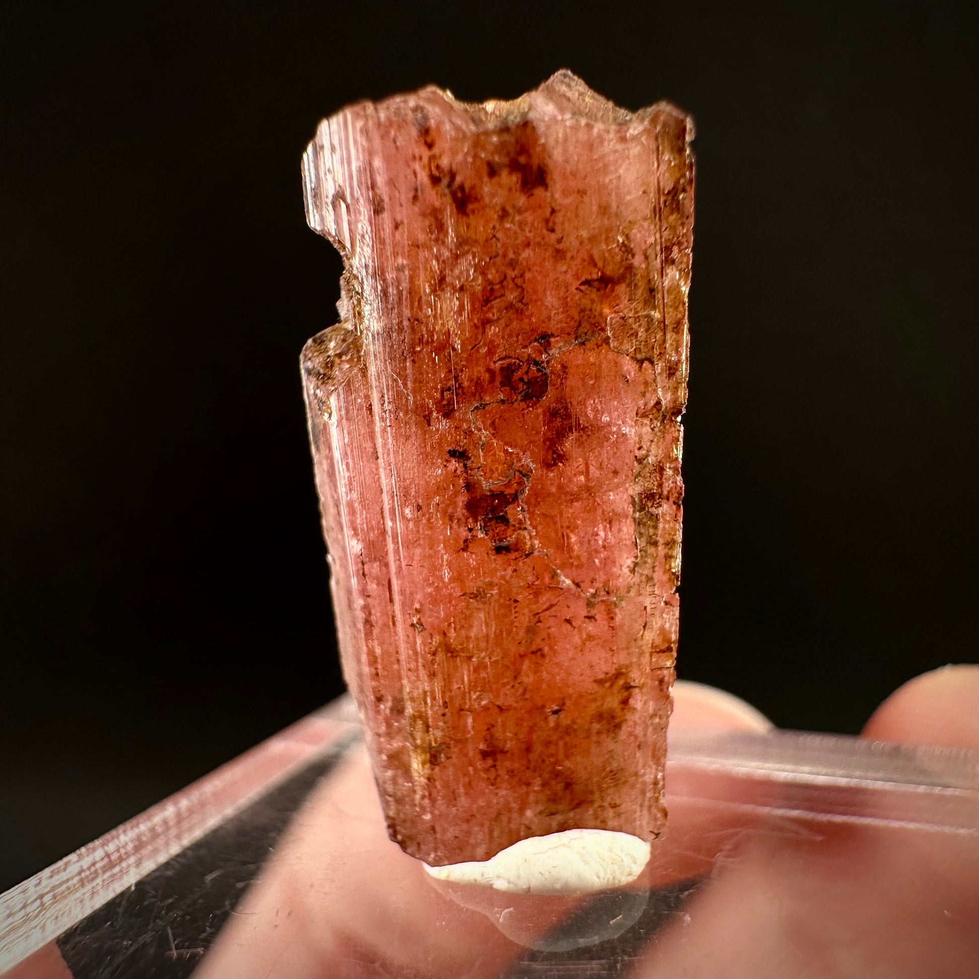Rare! Vayrynenite (Pakistan) | vayrynenite crystal, rare crystals, mineral specimen, rare minerals, natural vayrynenite