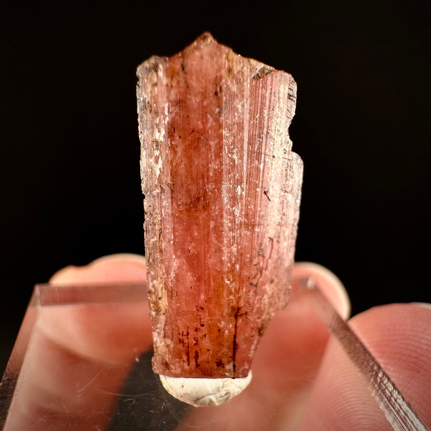 Rare! Vayrynenite (Pakistan) | vayrynenite crystal, rare crystals, mineral specimen, rare minerals, natural vayrynenite