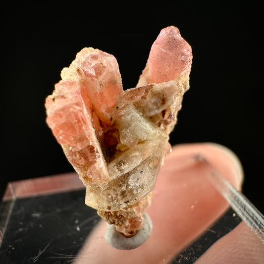 Rare! Vayrynenite with Quartz (Pakistan) | vayrynenite crystal, rare crystals, mineral specimen, rare minerals, natural vayrynenite