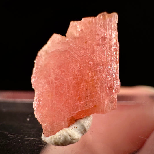 Rare! Vayrynenite (Pakistan) | vayrynenite crystal, rare crystals, mineral specimen, rare minerals, natural vayrynenite