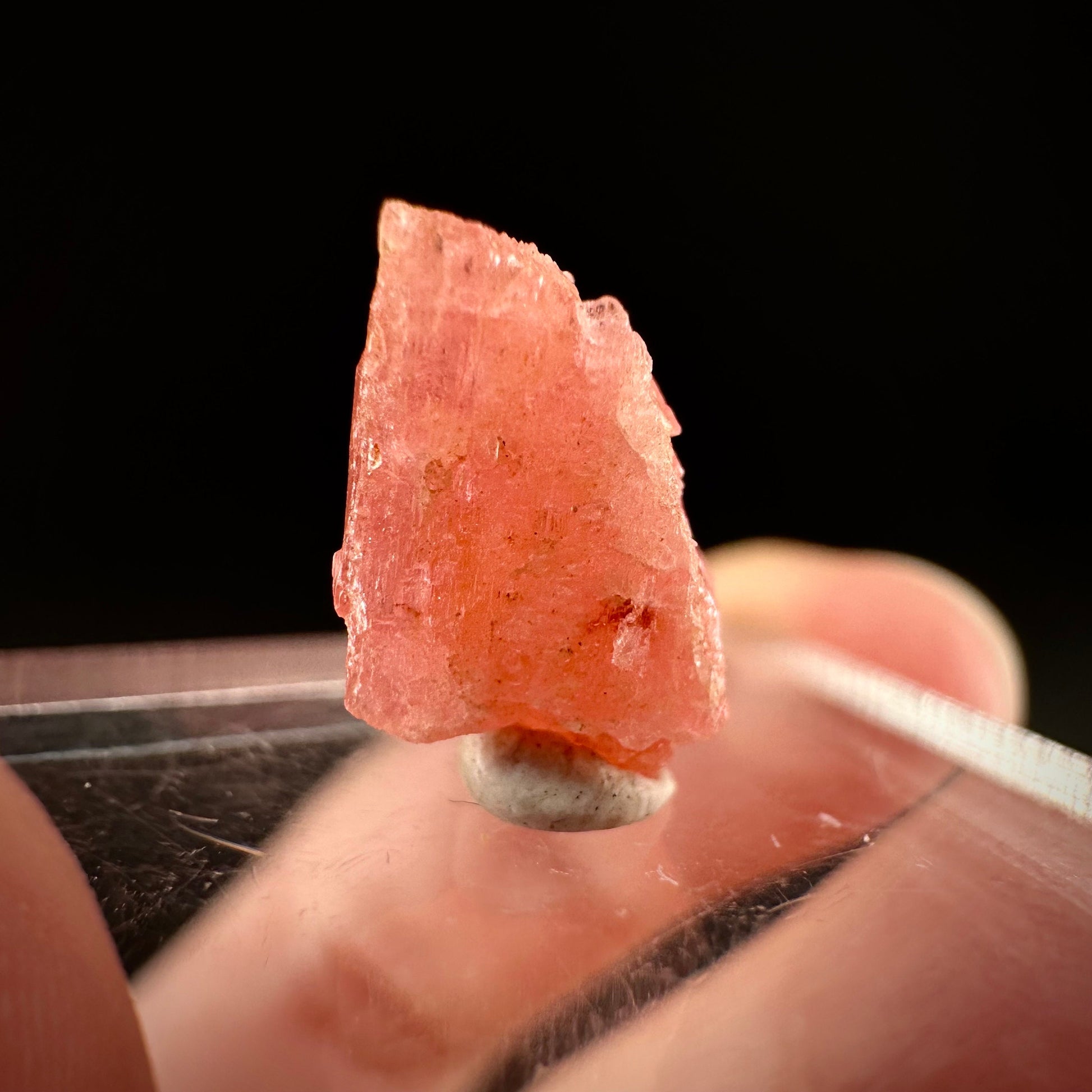 Rare! Vayrynenite (Pakistan) | vayrynenite crystal, rare crystals, mineral specimen, rare minerals, natural vayrynenite