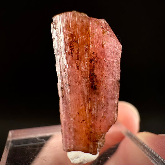 Rare! Vayrynenite (Pakistan) | vayrynenite crystal, rare crystals, mineral specimen, rare minerals, natural vayrynenite