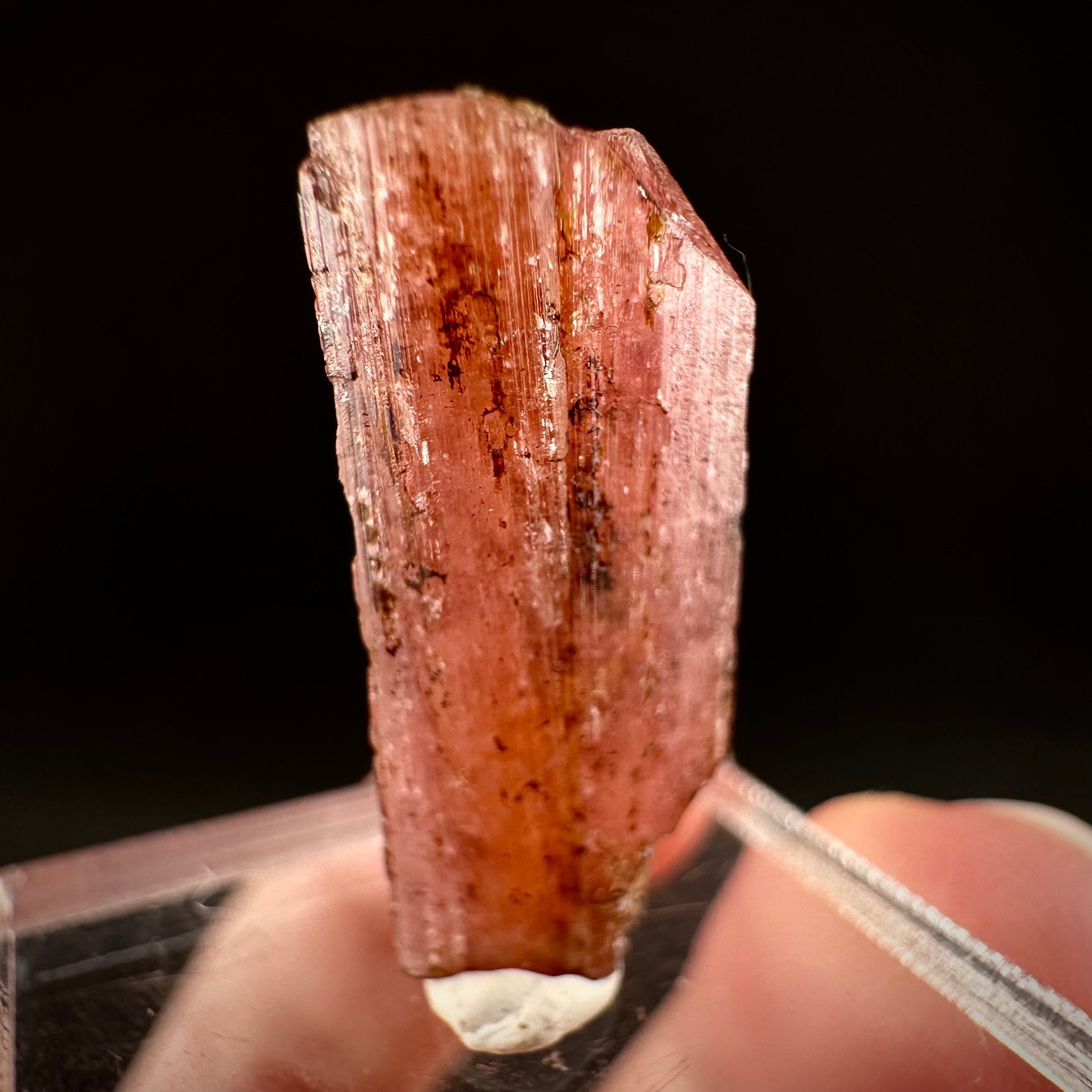 Rare! Vayrynenite (Pakistan) | vayrynenite crystal, rare crystals, mineral specimen, rare minerals, natural vayrynenite