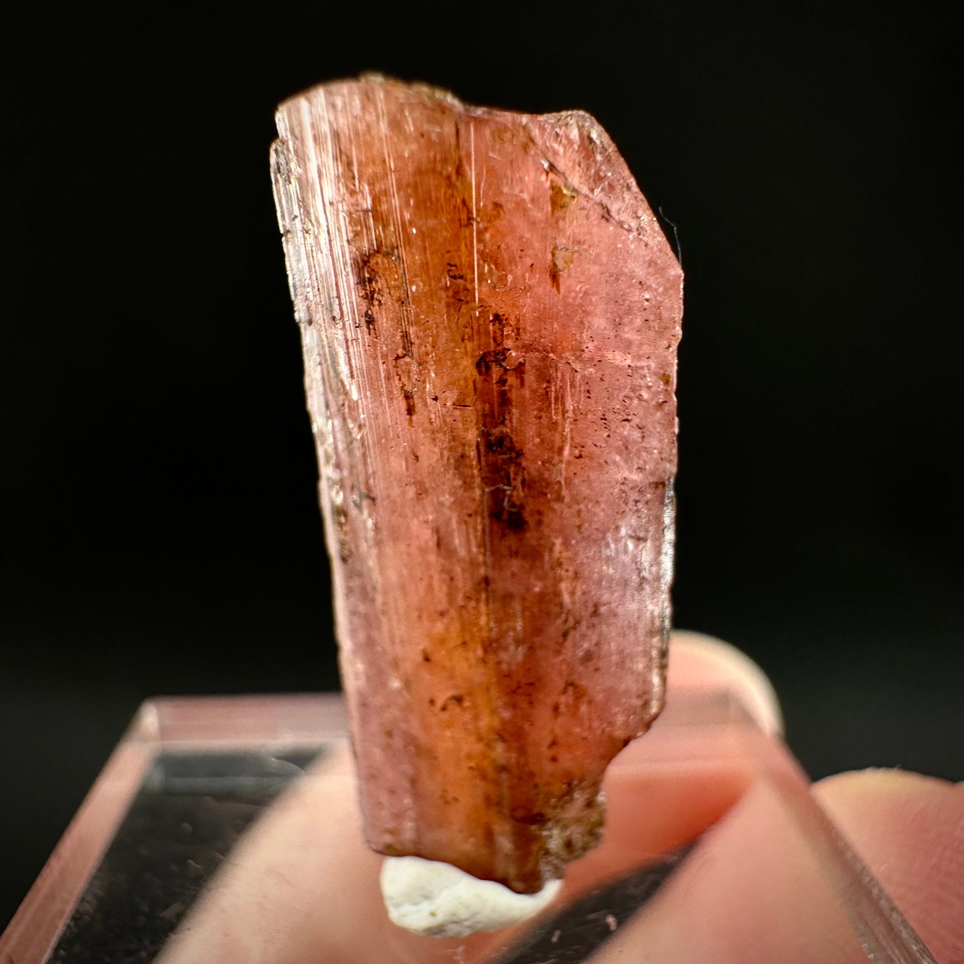 Rare! Vayrynenite (Pakistan) | vayrynenite crystal, rare crystals, mineral specimen, rare minerals, natural vayrynenite