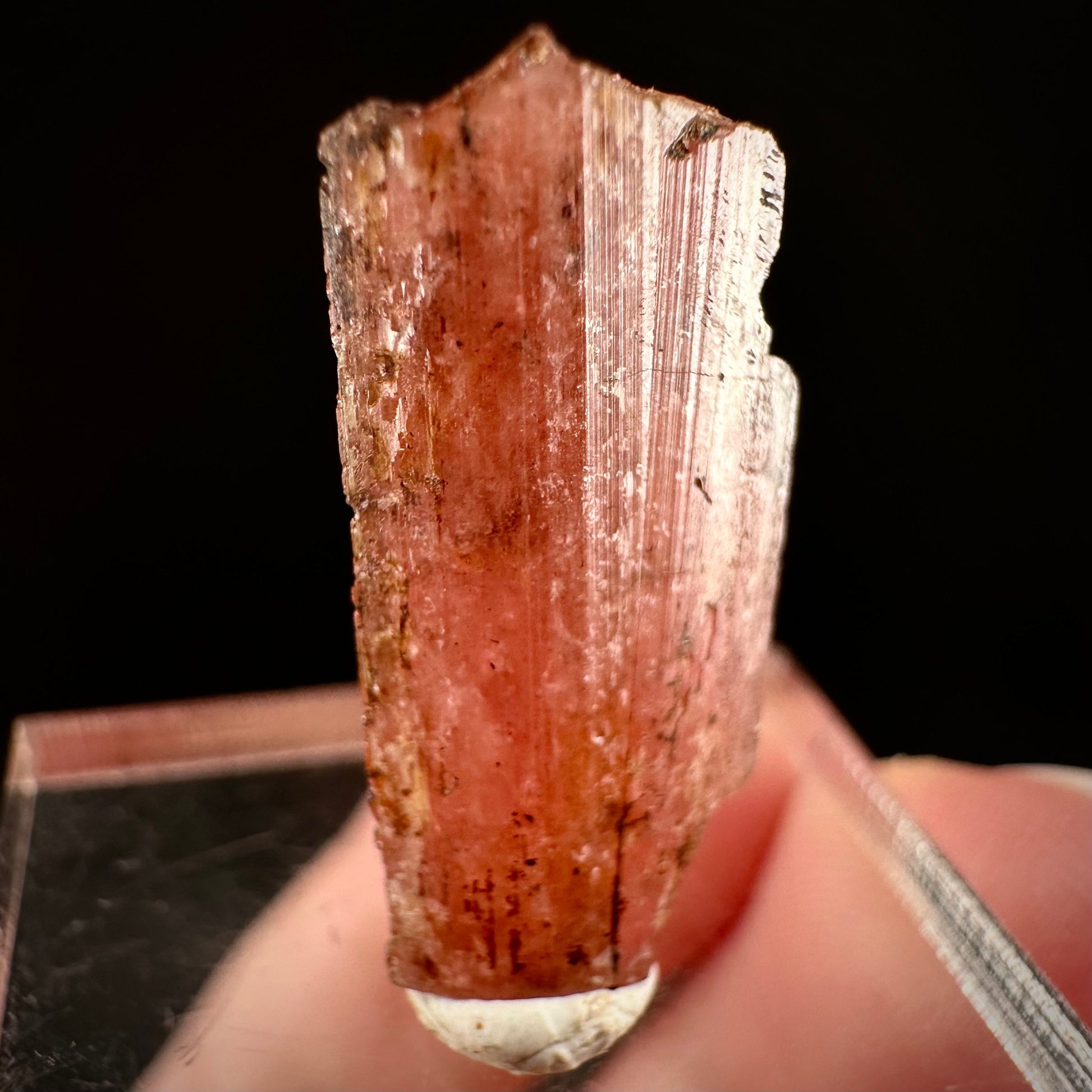 Rare! Vayrynenite (Pakistan) | vayrynenite crystal, rare crystals, mineral specimen, rare minerals, natural vayrynenite