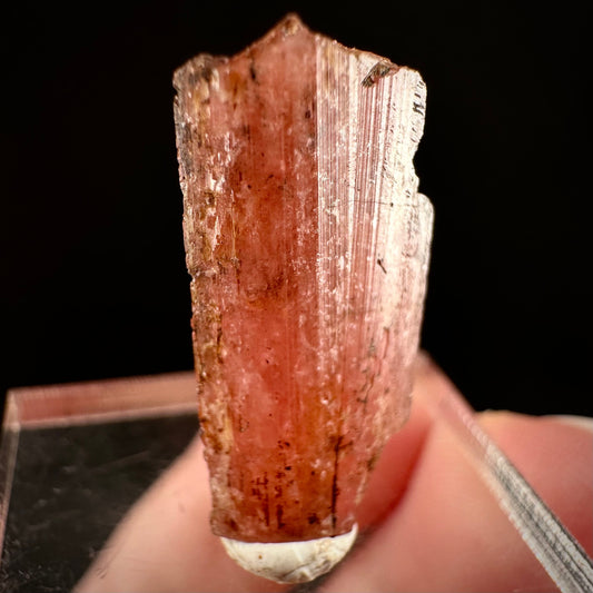 Rare! Vayrynenite (Pakistan) | vayrynenite crystal, rare crystals, mineral specimen, rare minerals, natural vayrynenite